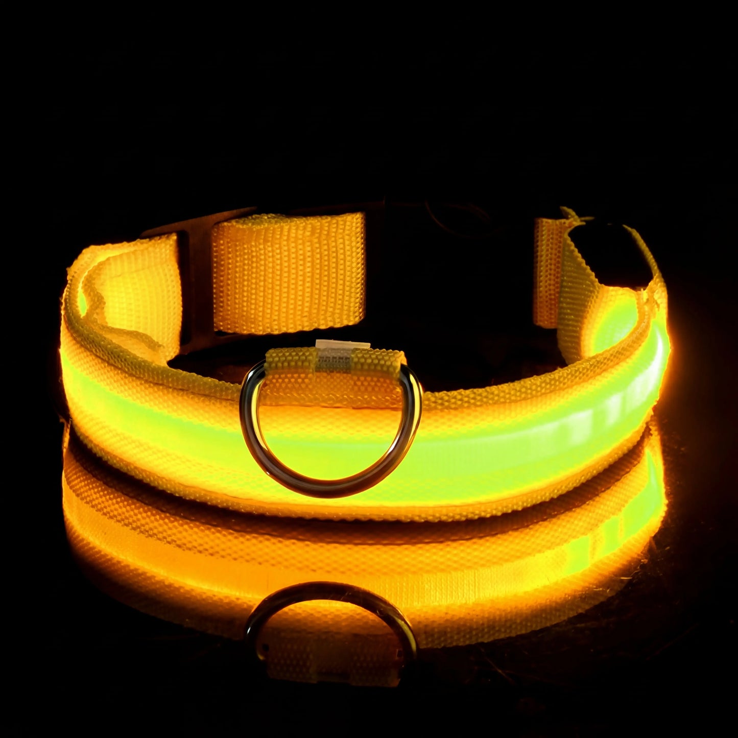 Lysande hundhalsband