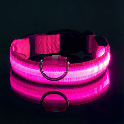 Lysande hundhalsband