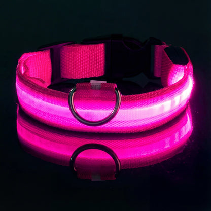 Lysande hundhalsband