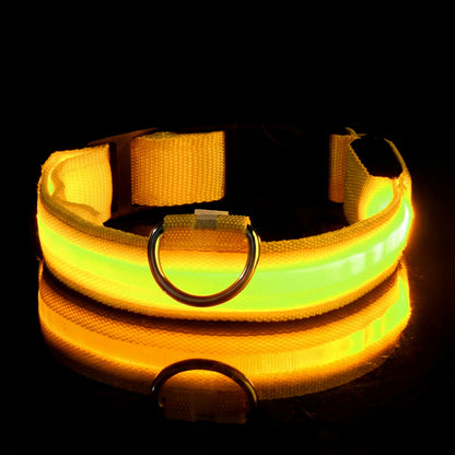 Lysande hundhalsband