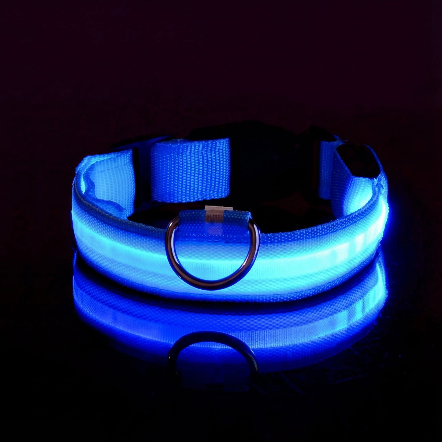 Lysande hundhalsband