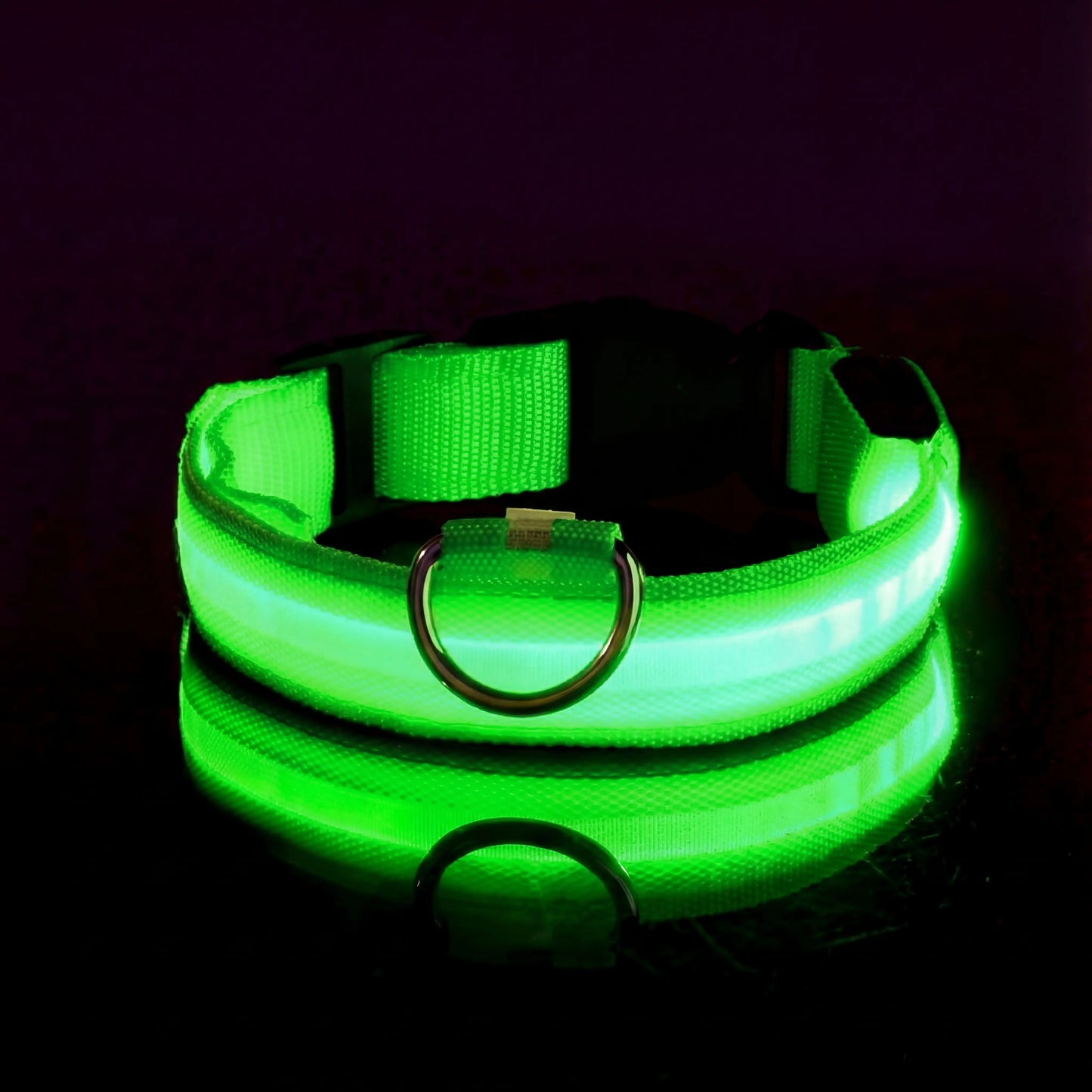 Lysande hundhalsband