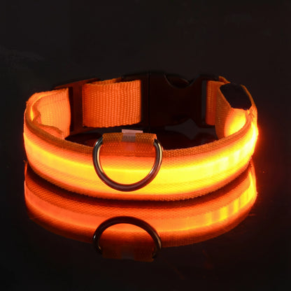 Lysande hundhalsband