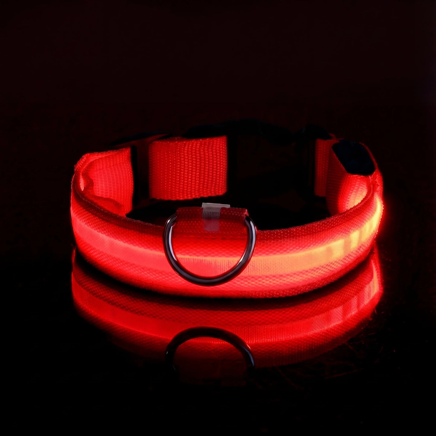 Lysande hundhalsband