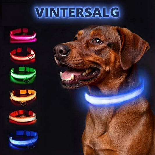 Lysande hundhalsband